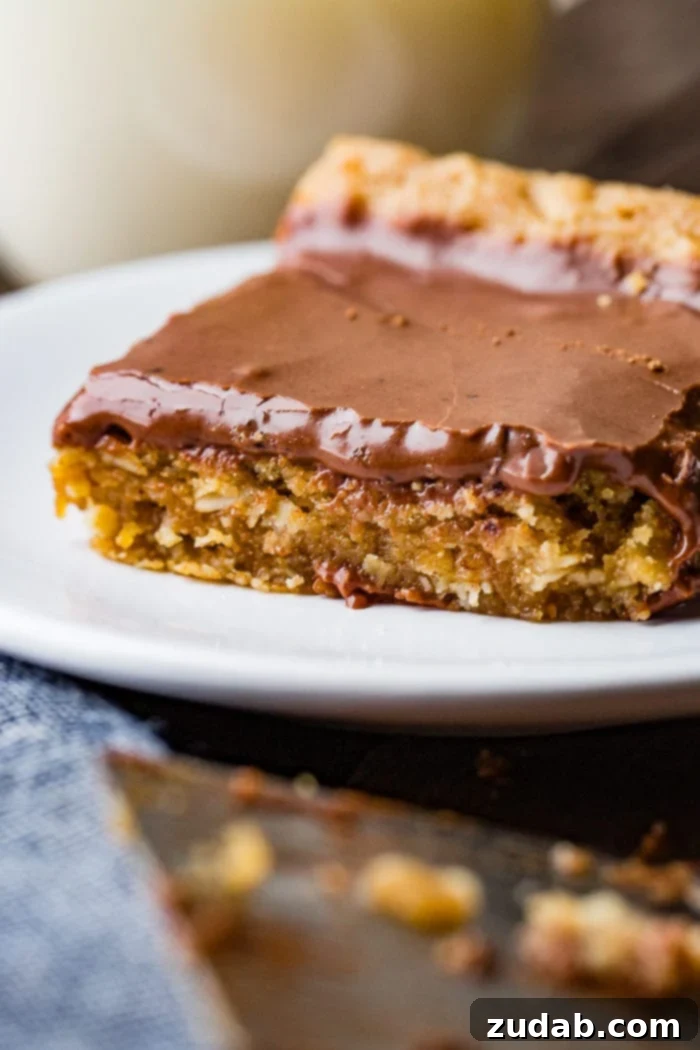 Irresistible Peanut Butter Bars 6 A delightful Peanut Butter Bar, beautifully frosted with chocolate, served on a pristine white plate.