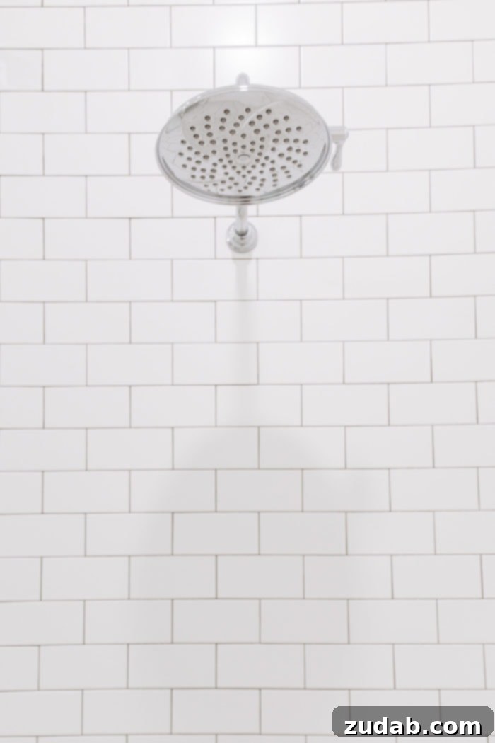 Basement Bathroom Transformation With The Best Tile of 2018 9 Wide view of the guest bathroom, showcasing the striking contrast of black and white tile and the airy feel.