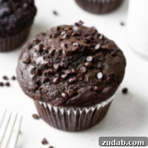 Double Chocolate Zucchini Muffins