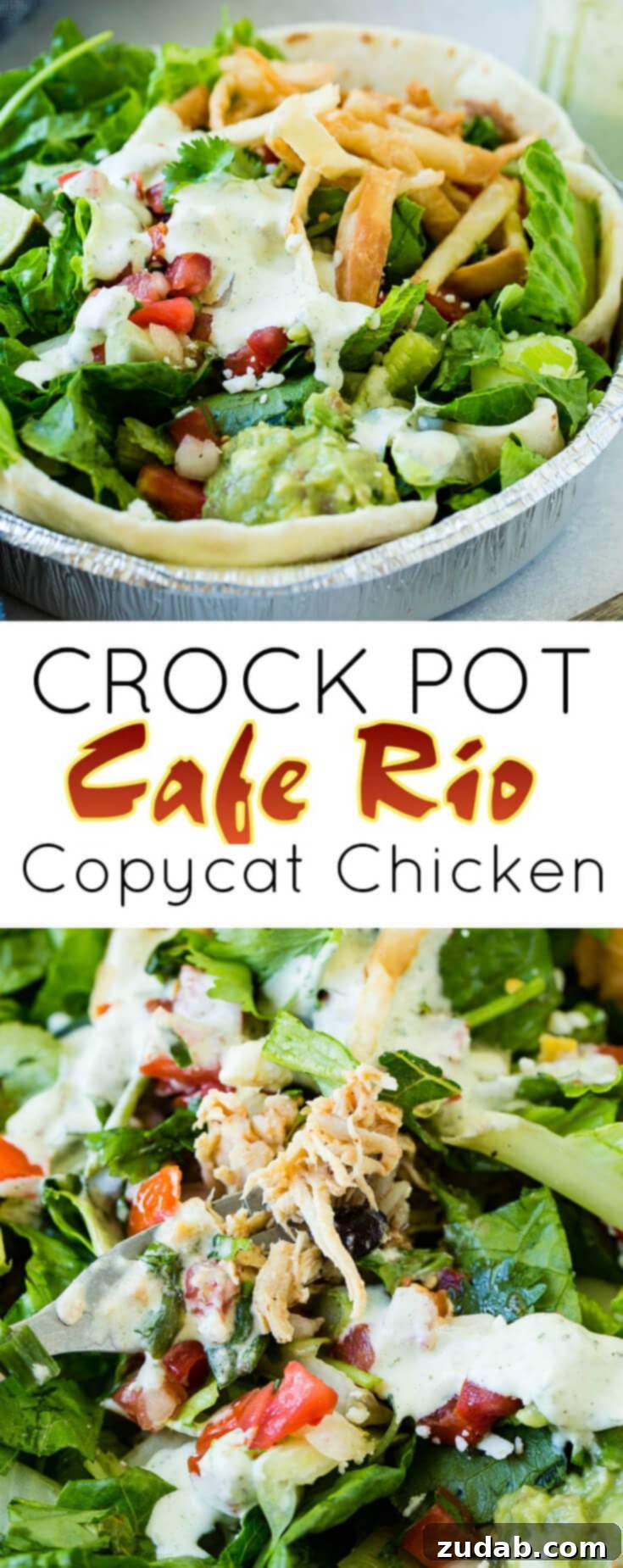 A delightful presentation of the crockpot Cafe Rio chicken copycat recipe, perfect for taking to someone with a new baby or for any family-friendly meal, served with cilantro lime rice!