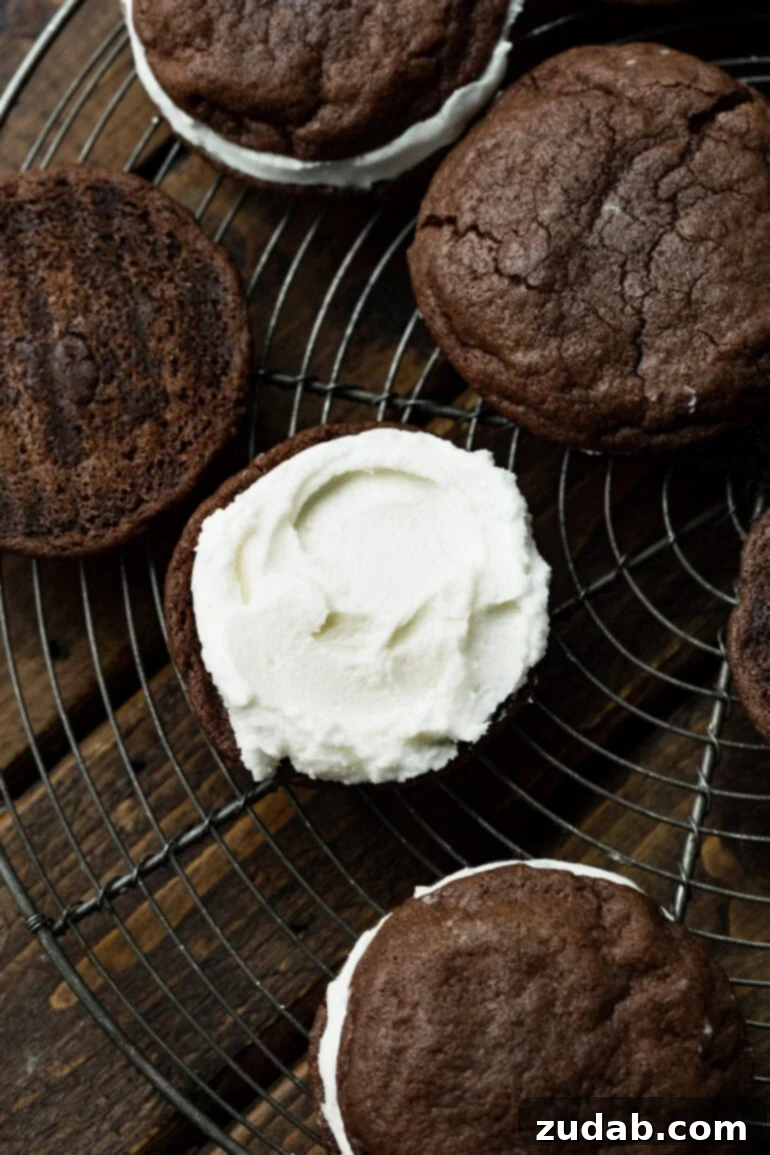 Craft Your Own Delicious Oreos 6 A photo of a single frosted chocolate cookie sitting on a circular wire cooling rack, ready for the top cookie.