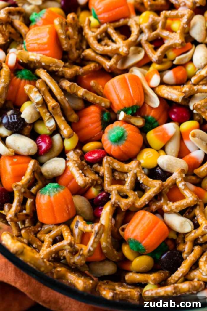 Wickedly Quick Halloween Mix 5 A close-up, inviting shot of the 5 Minute Halloween Snack Mix, with a focus on the vibrant and varied textures of candy corn, Halloween pretzels, M&M's, salted peanuts, and candy pumpkins.