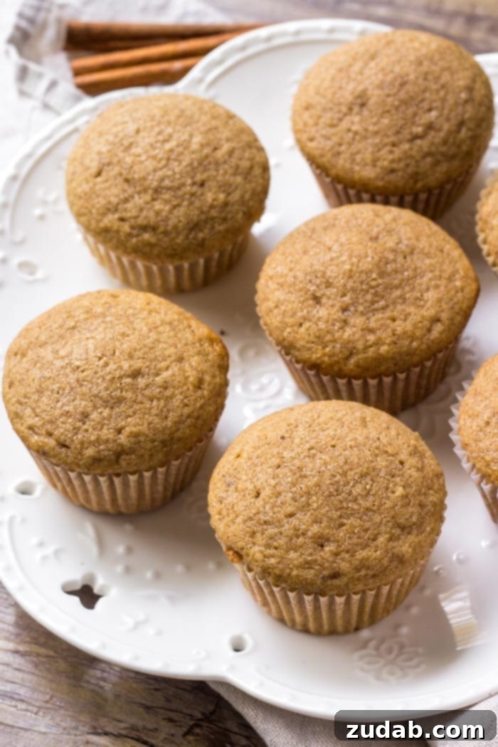 Fragrant Spice Cupcakes with Zesty Cinnamon Cream Cheese Frosting 4 A delightful plate showcasing several moist, flavorful spice cake cupcakes, each a testament to perfect fall baking.