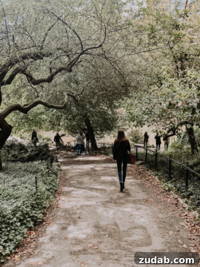 Parents' Urban Escape 2 central park path in new york city
