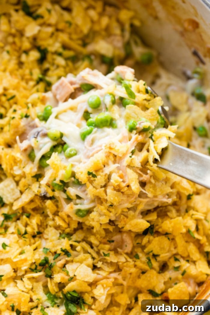 Thanksgiving Leftover Turkey Tetrazzini with Honey Dijon Crunch 2 Creamy Turkey Tetrazzini in a large pot, ready to be served