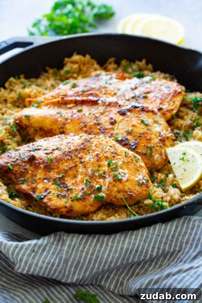 Golden Garlic Parmesan Chicken with Zesty Lemon Rice 5 A serving of One-Skillet Garlic Parmesan Chicken with Lemon Rice, showing the juicy chicken and perfectly cooked rice, ready to be enjoyed.