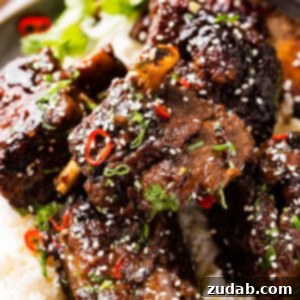 Tender Oven Braised Korean Beef Short Ribs 8 A photo of braised short ribs garnished with sesame seeds, cilantro, and red peppers on top of white rice on a gray plate.