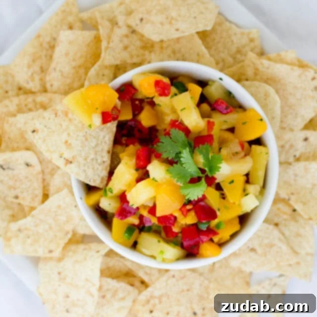Embrace Everyday Joy 4 A bowl of vibrant peach pineapple salsa surrounded by fresh ingredients like red onion, cilantro, and lime, showcasing its freshness.