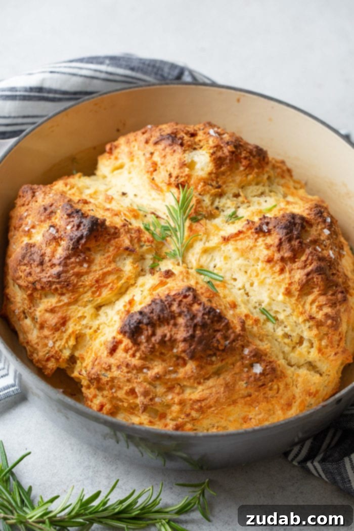Garlic Cheddar Herb Irish Soda Bread 5 A photo of a whole loaf of garlic cheddar herb irish soda bread in a Dutch oven and topped with sprigs of fresh rosemary