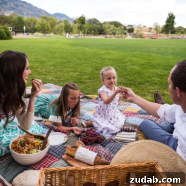 A photo of our family having a picnic, showcasing happiness and togetherness.