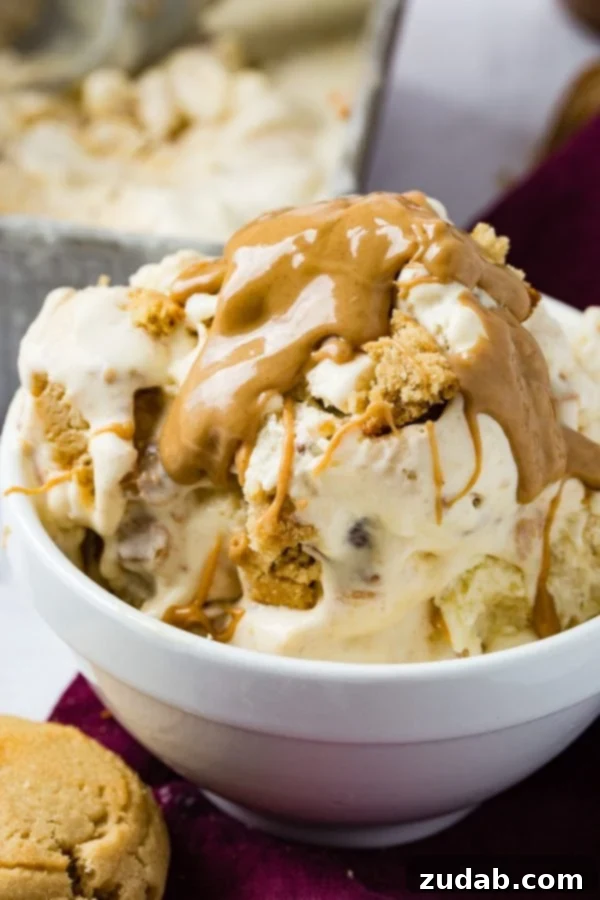 Ultimate Peanut Butter Cookie Ice Cream 2 A phone of a bowl of homemade peanut butter cookie ice cream drizzled with creamy peanut butter one top and full of cookie chunks.