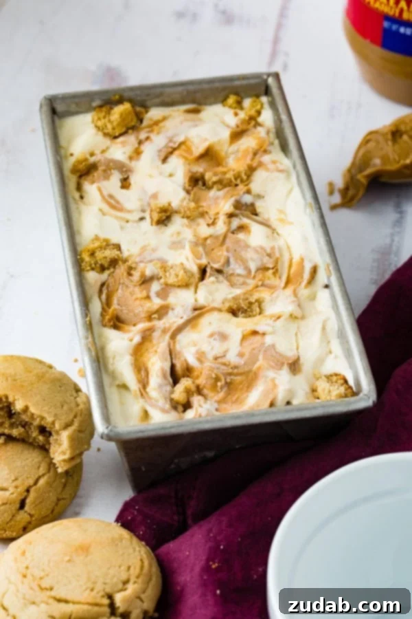 Ultimate Peanut Butter Cookie Ice Cream 3 A phone of a pan of homemade peanut butter cookie ice cream drizzled with creamy peanut butter one top and full of cookie chunks.