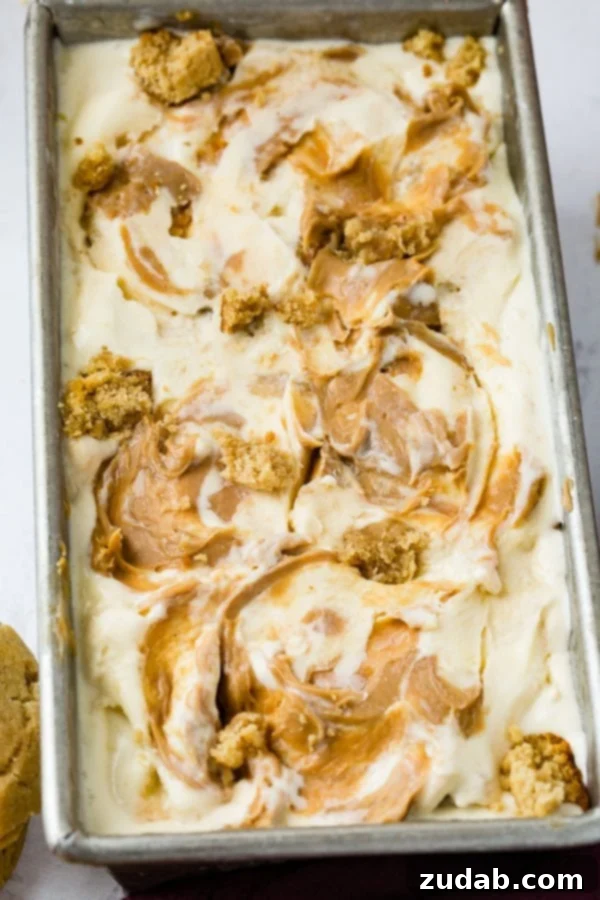 Ultimate Peanut Butter Cookie Ice Cream 4 A photo of a pan of homemade peanut butter cookie ice cream drizzled with creamy peanut butter one top and full of cookie chunks.