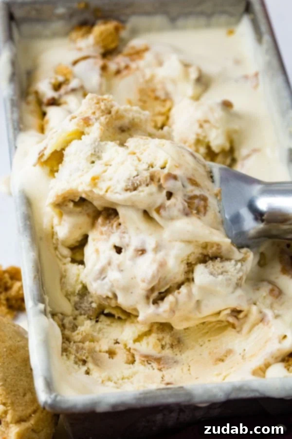 Ultimate Peanut Butter Cookie Ice Cream 6 A photo of a scoop in a pan of homemade peanut butter cookie ice cream drizzled with creamy peanut butter one top and full of cookie chunks.