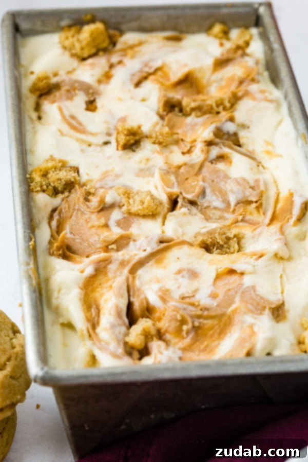 Ultimate Peanut Butter Cookie Ice Cream 7 A photo of a pan of homemade peanut butter cookie ice cream drizzled with creamy peanut butter one top and full of cookie chunks.