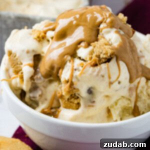 Ultimate Peanut Butter Cookie Ice Cream 8 A photo of a bowl of homemade peanut butter cookie ice cream drizzled with creamy peanut butter one top and full of cookie chunks.