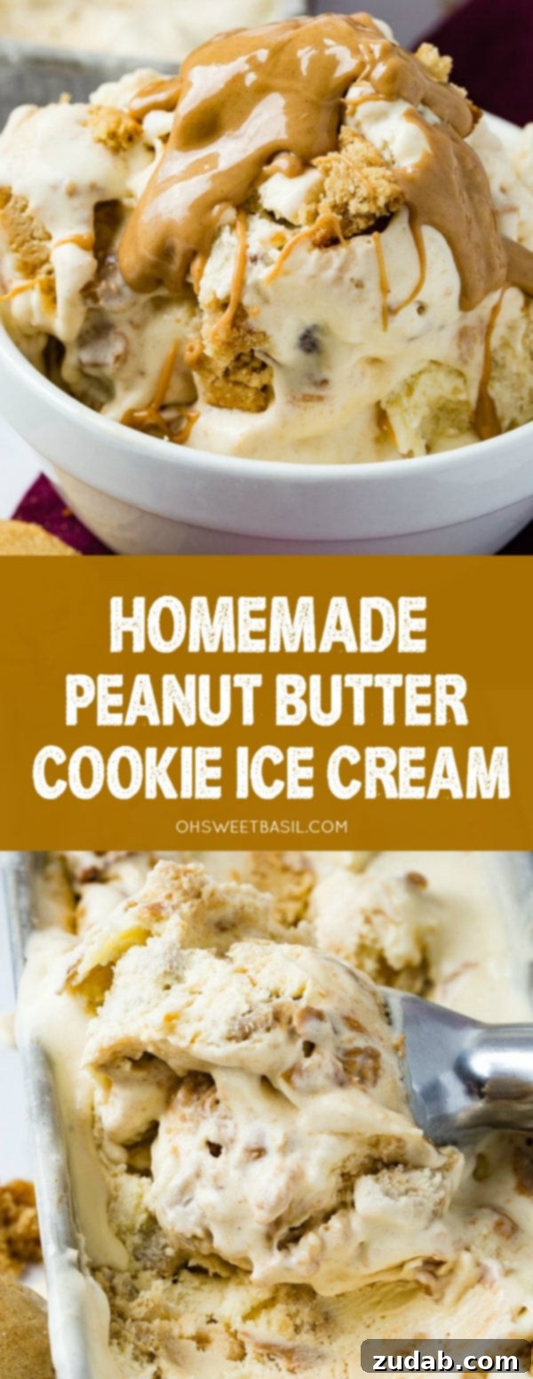 Ultimate Peanut Butter Cookie Ice Cream 9 A bowl of homemade peanut butter cookie ice cream drizzled with creamy peanut butter one top and full of cookie chunks.
