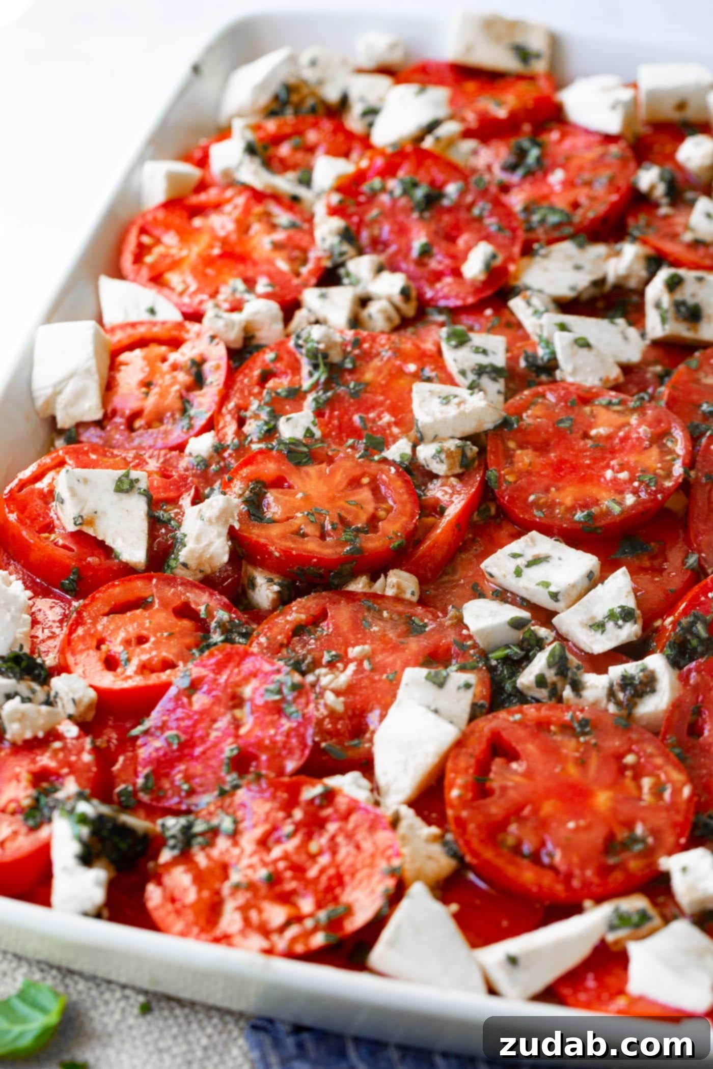 3 Cheese Marinated Tomatoes Salad A generously portioned 3-Cheese Marinated Tomato Salad, garnished with fresh basil leaves and a medley of cheeses, ready to be served.
