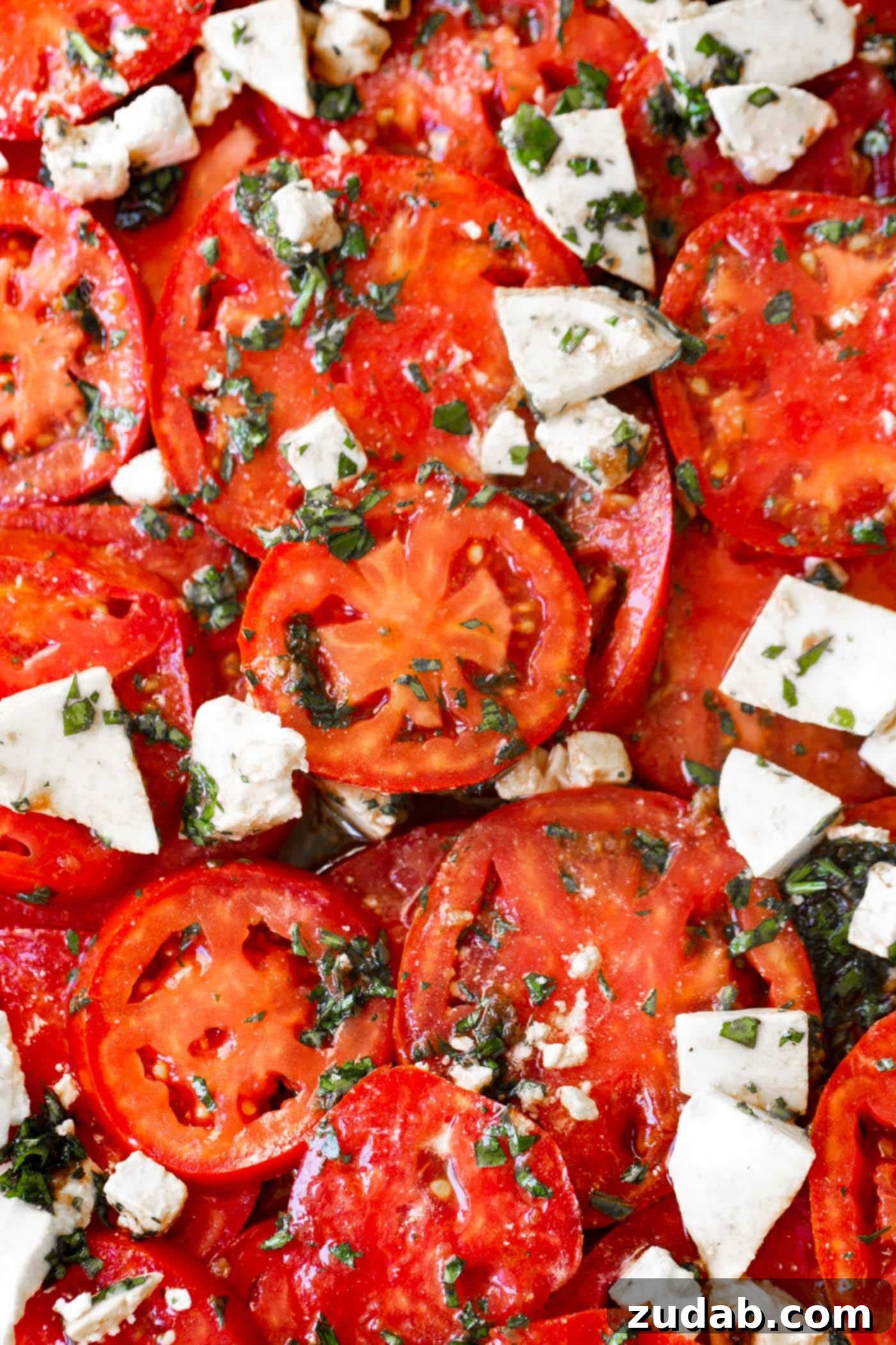 3 Cheese Marinated Tomatoes Salad A vibrant close-up of the 3-Cheese Marinated Tomato Salad, highlighting the rich balsamic dressing coating the tomatoes and the generous cheese blend.