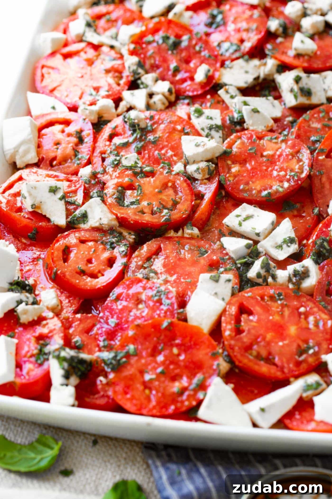 3 Cheese Marinated Tomatoes Salad A beautifully composed bowl of 3-Cheese Marinated Tomato Salad, featuring fresh herbs, colorful tomatoes, and a generous blend of cheeses.