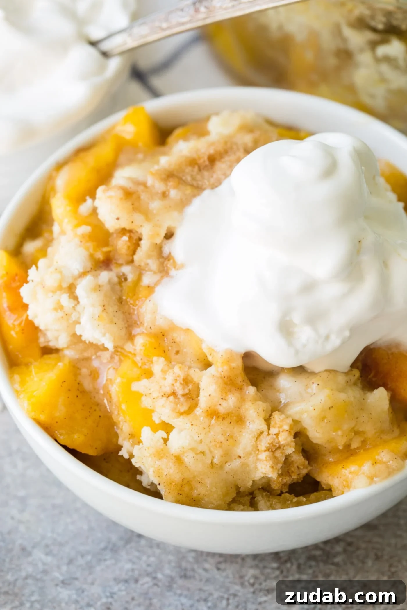 Easy Instant Pot Peach Cobbler with Cake Mix A cozy bowl of Instant Pot Peach Cobbler, garnished with a sprig of mint and a scoop of melting ice cream.