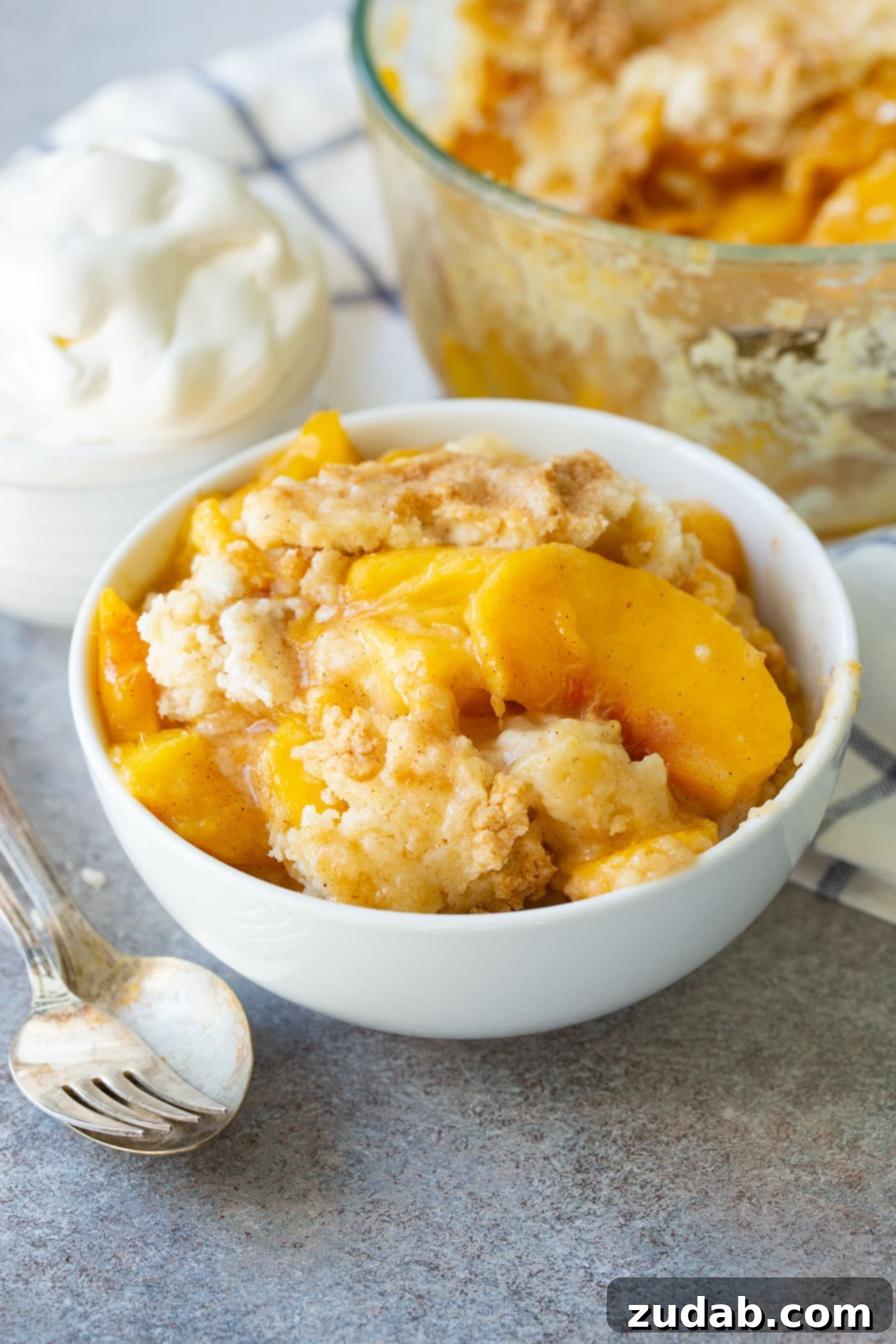 Easy Instant Pot Peach Cobbler with Cake Mix A close-up of a rustic bowl of Instant Pot Peach Cobbler, showcasing its rich texture and inviting warmth.