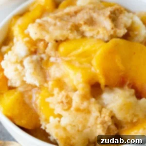 Effortless Instant Pot Peach Cobbler Using Cake Mix 2 A small image of Instant Pot Peach Cobbler