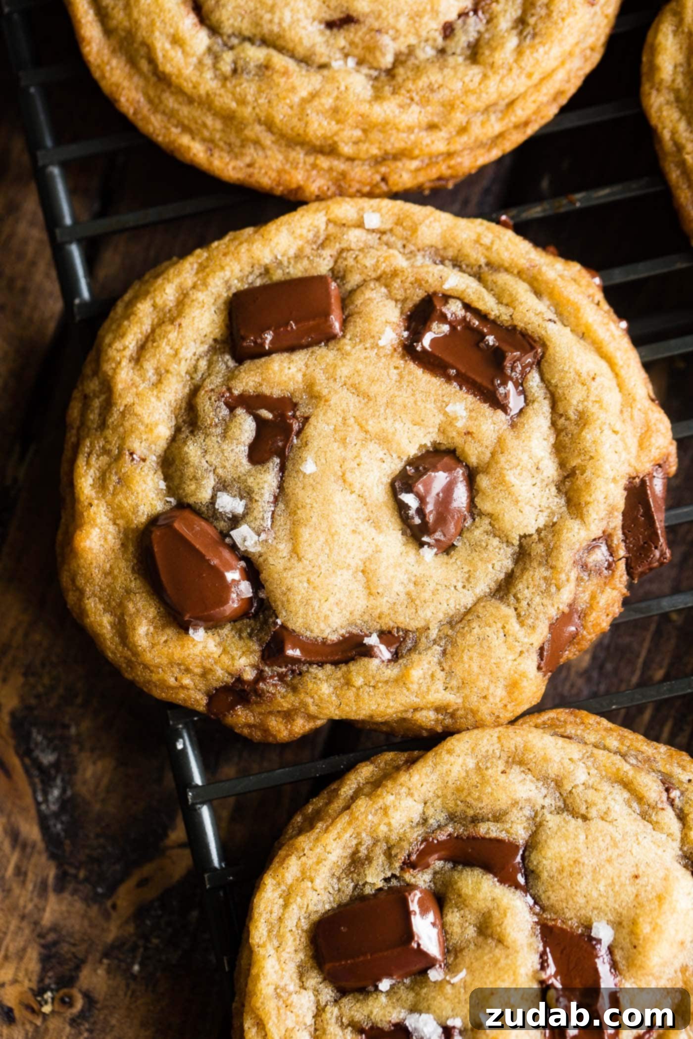 Chocolate Lover's Ultimate Chocolate Chip Cookies 5 A freshly baked chocolate chip cookie, golden-brown with visible melted chocolate chunks and a soft, inviting center.