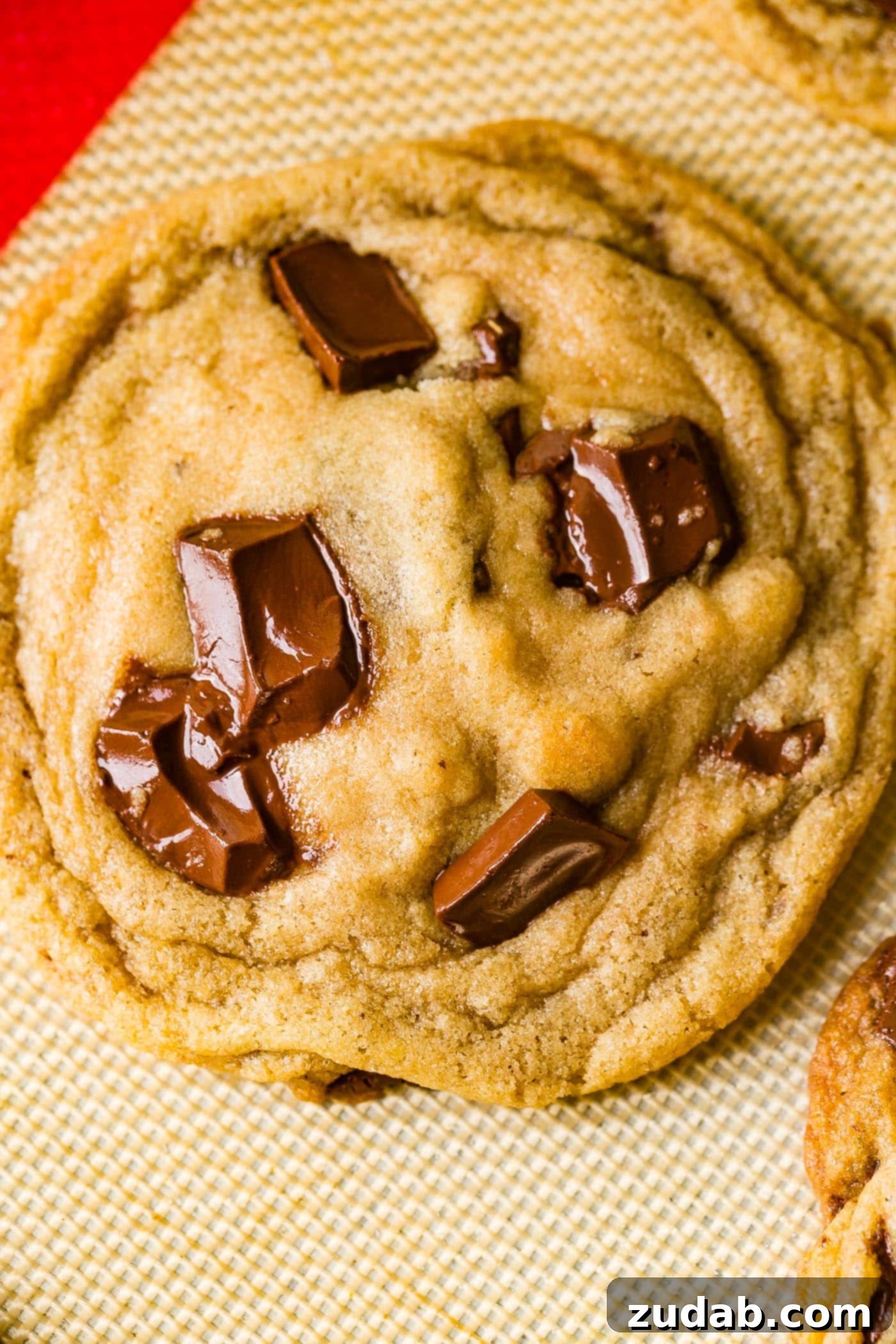 Chocolate Lover's Ultimate Chocolate Chip Cookies 6 A delectable chocolate chip cookie, fresh from the oven, with glistening chocolate and perfectly distributed sea salt flakes.