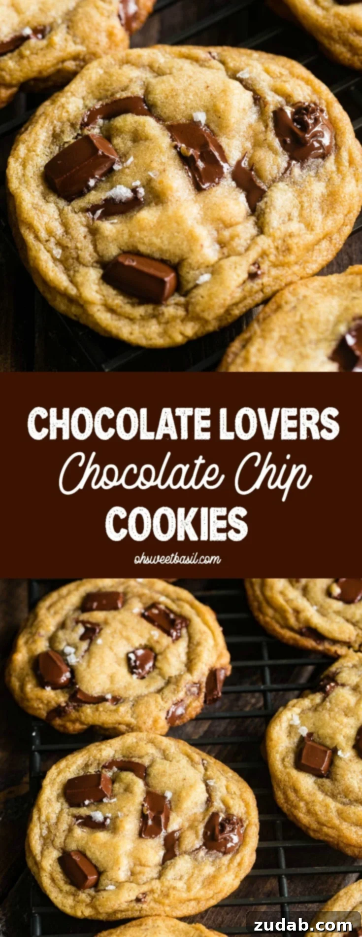 Chocolate Lover's Ultimate Chocolate Chip Cookies 9 A final, irresistible image of a perfect chocolate chip cookie, rich with melted chocolate and a hint of sea salt.