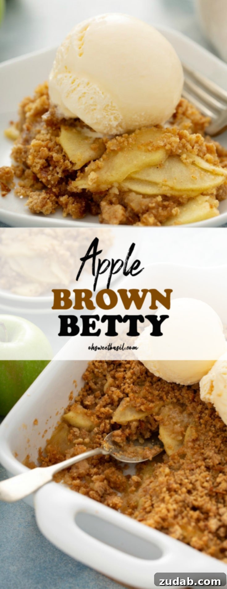 Apple Brown Betty Dessert Recipe 3 A beautifully presented Apple Brown Betty in a dessert dish, showcasing its golden bread crumb topping over tender spiced apples, crowned with a scoop of vanilla ice cream. A fork rests alongside, inviting indulgence.