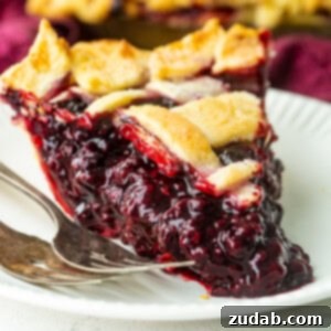 Blackberry Marionberry Pie Perfection 8 A delicious Marionberry pie, freshly baked with a perfect golden crust.