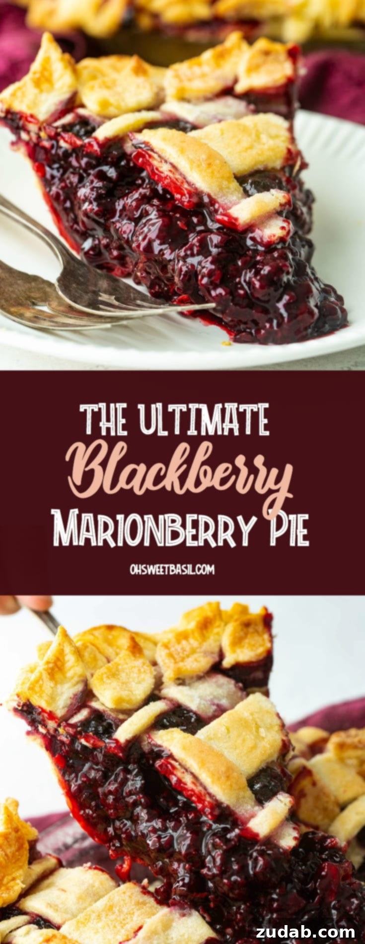 Blackberry Marionberry Pie Perfection 9 A beautifully presented slice of Marionberry pie, showing its rich berry filling and golden crust, served on a white plate with two forks.