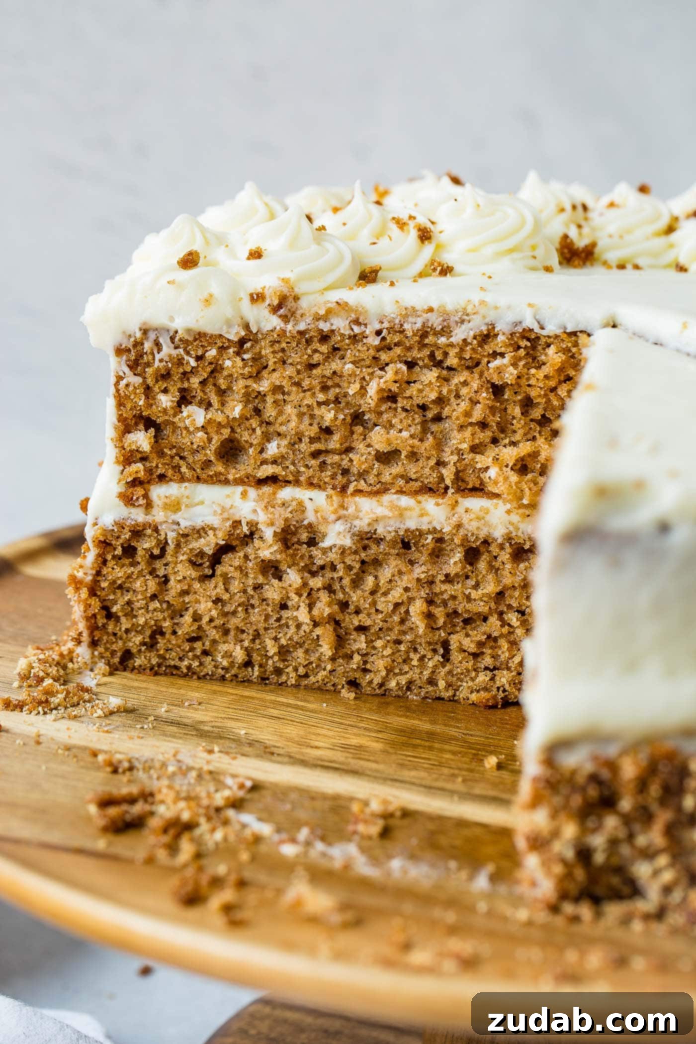Best Layered Spice Cake Recipe A two-layer spice cake with a generous layer of cream cheese frosting between the layers and on top. A slice has been neatly cut out, revealing the moist interior.