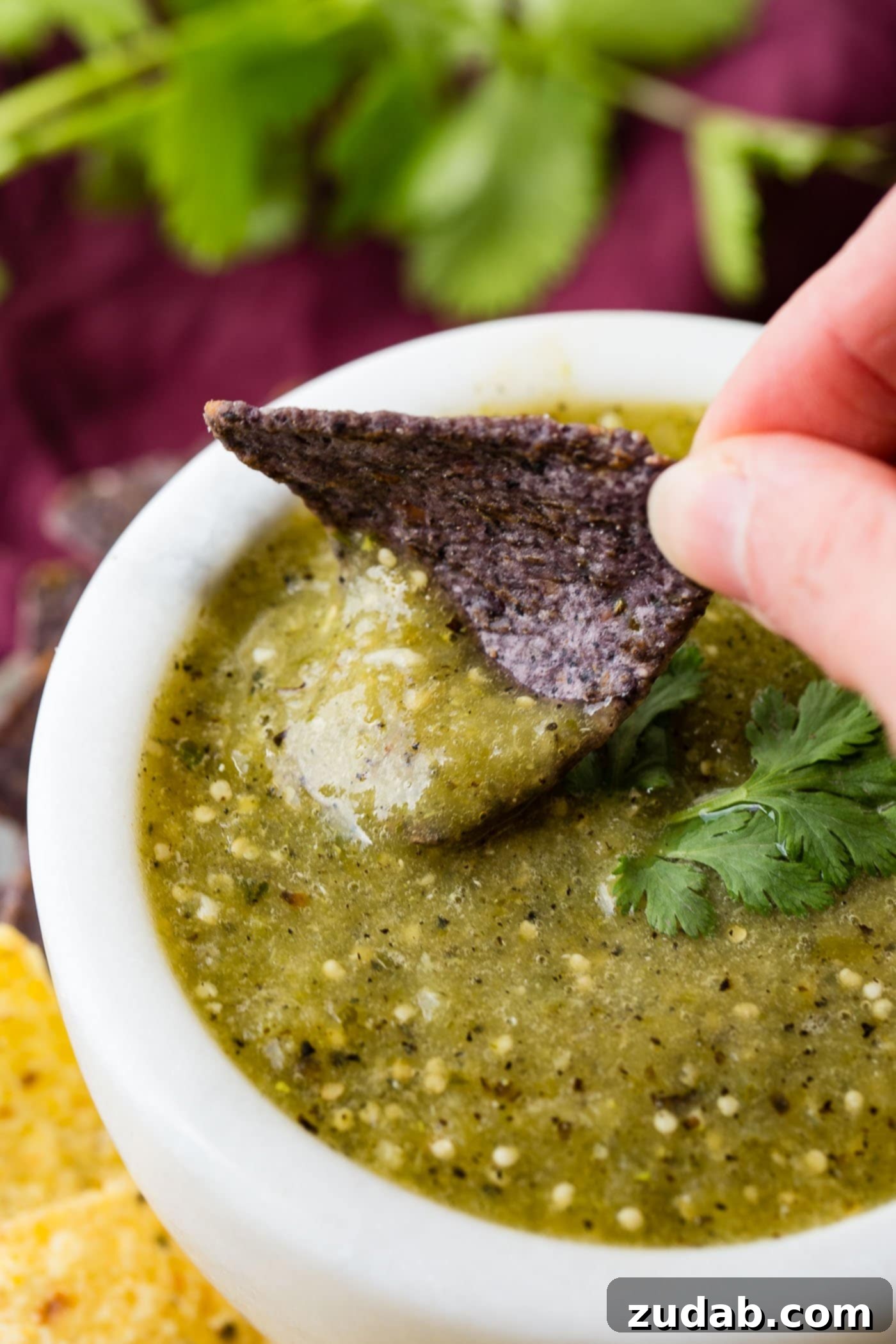 Authentic Salsa Verde From Scratch 2 A vibrant bowl of authentic homemade salsa verde, garnished with a fresh cilantro leaf, with a corn chip poised to dip into the rich green sauce.