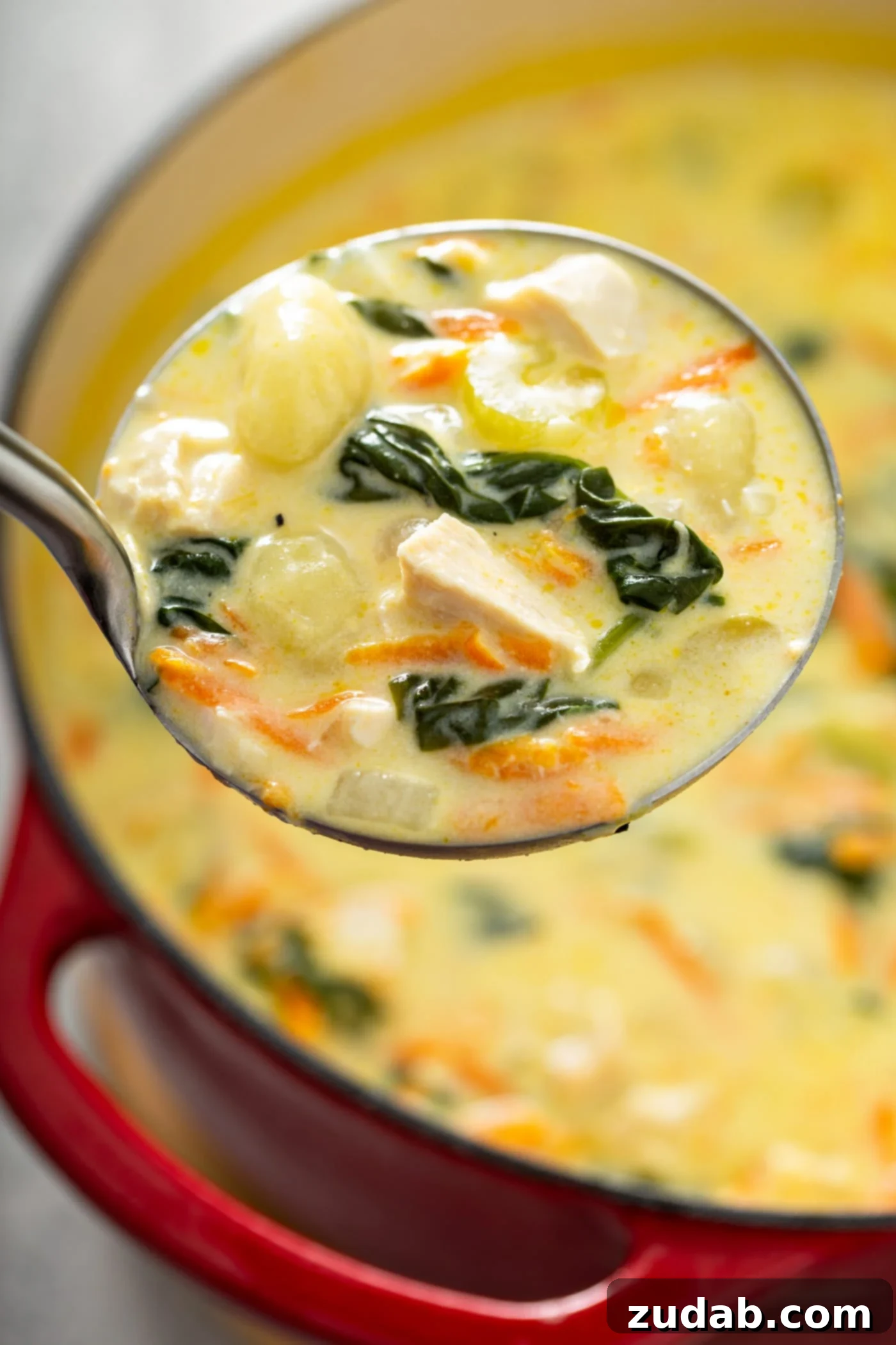 Olive Garden Gnocchi Chicken Soup A ladle serving a generous portion of creamy Olive Garden chicken and gnocchi soup from a large pot. The soup is rich with tender chicken, soft gnocchi, vibrant spinach, and shredded carrots.