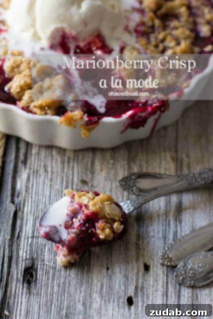 Warm Marionberry Crisp a la Mode 4 A spoon filled with melted ice cream and berry dessert, scooped from a larger crisp in the background.