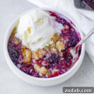 Warm Marionberry Crisp a la Mode 3 A tempting Marionberry Crisp a la Mode ready to be served.