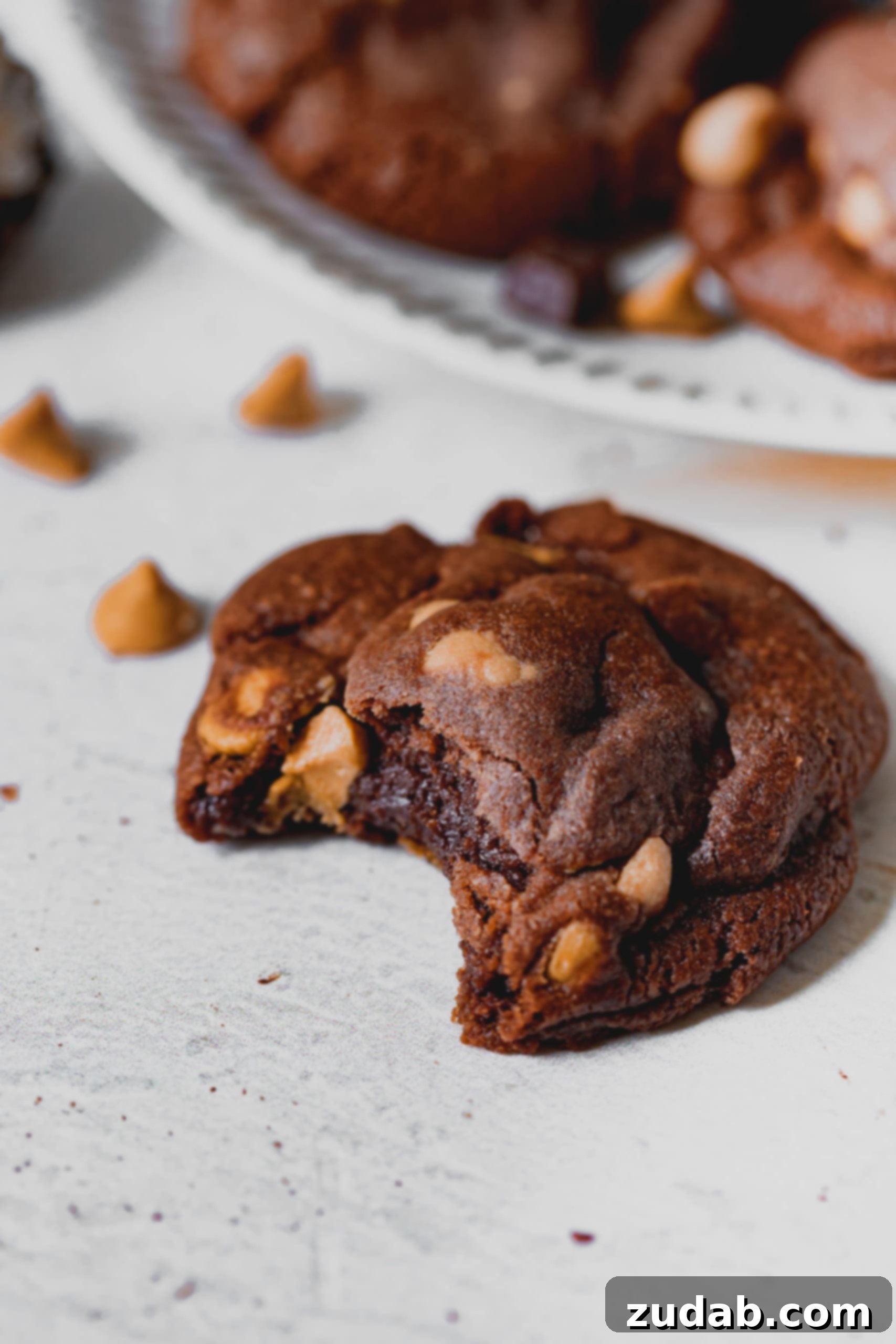 Chocolate Peanut Butter Chip Cookies A chocolate peanut butter cookie broken in half, revealing a soft, chewy interior with peanut butter chips.