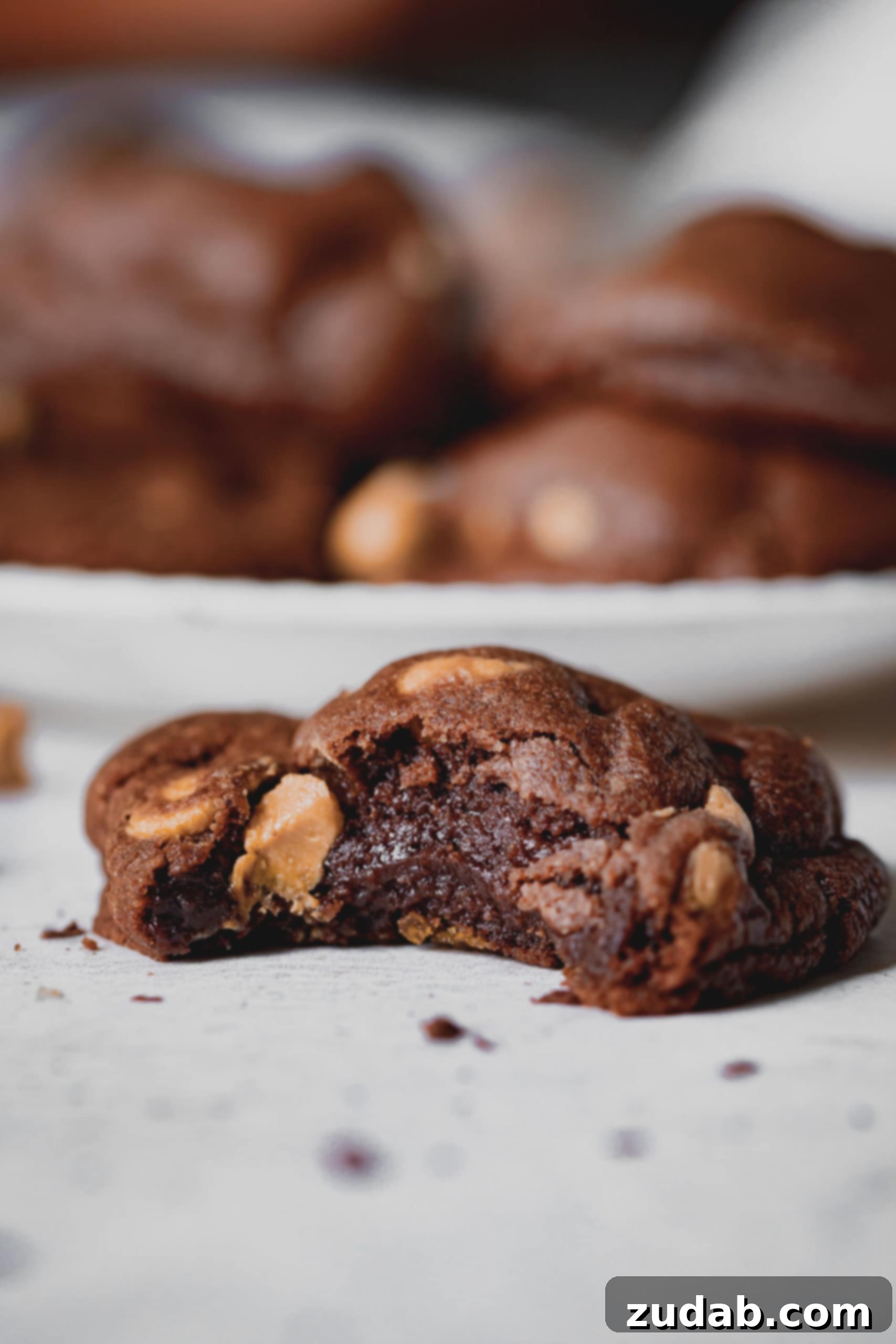 Chocolate Peanut Butter Chip Cookies A chocolate peanut butter cookie broken in half, showcasing the soft chocolate cookie and peanut butter chips.