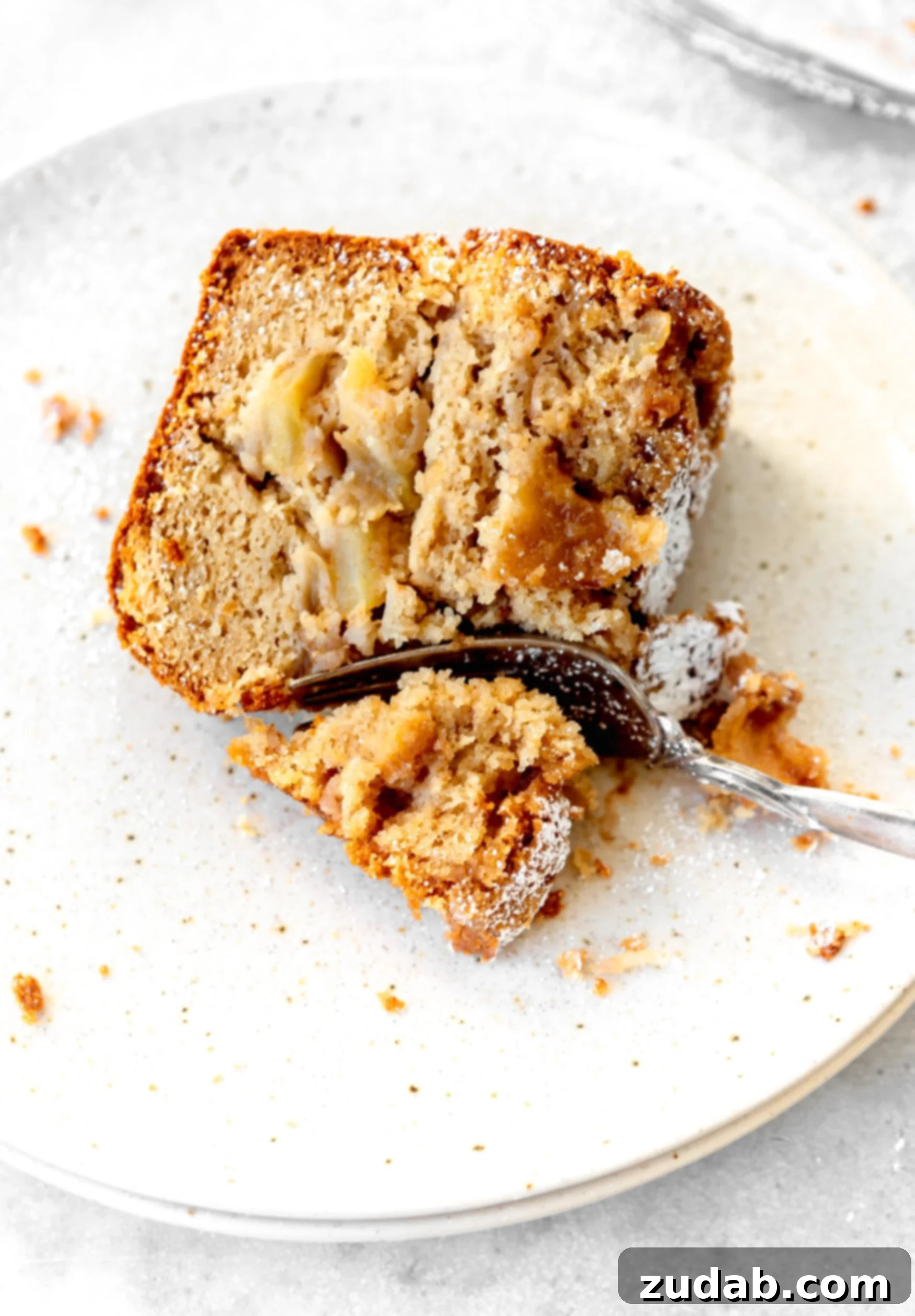 Jewish Apple Cake A slice of Jewish Apple cake on a white dessert plate. The cake is dense and moist with apple slices in it.