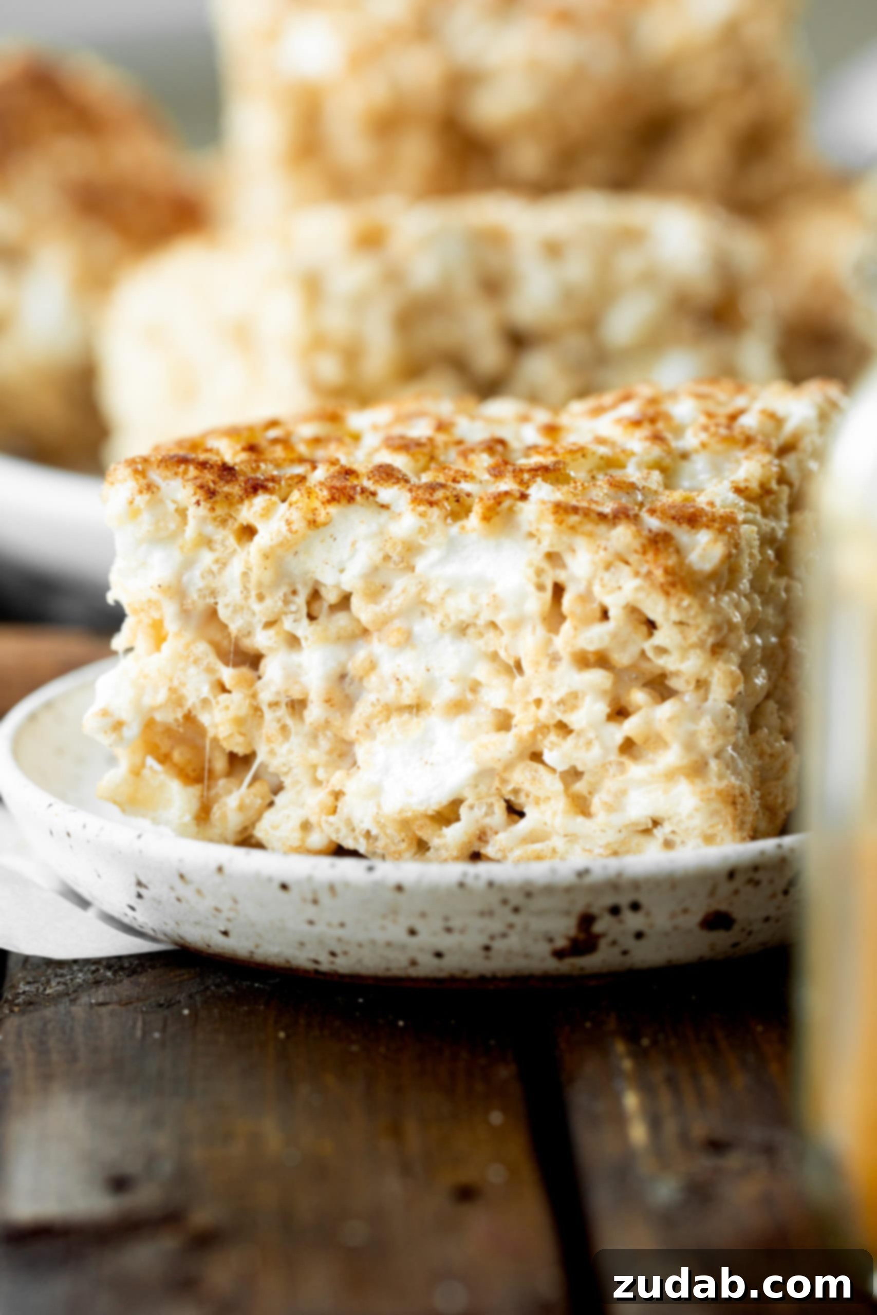 Churro Rice Krispie Treat Recipe A close-up photo of a single, thick, square Churro Rice Krispie Treat, showcasing its rich, gooey marshmallow interior and a generous dusting of cinnamon sugar on a delicate saucer.