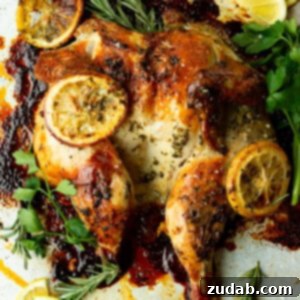 Golden Lemon Herb Spatchcock Chicken 2 Lemon Herb Spatchcock Chicken