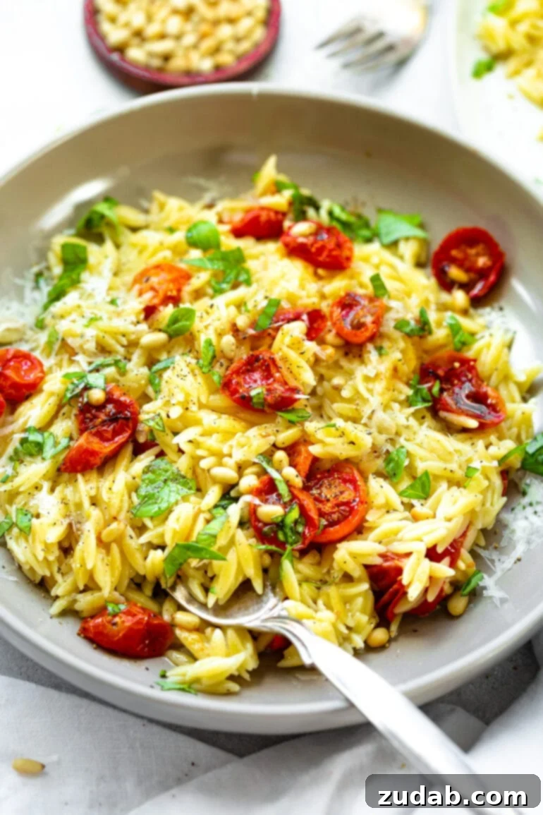Mediterranean Roasted Garlic Tomato Basil Orzo 2 A photo of a large serving bowl full of cooked orzo pasta, roasted tomatoes and garlic, and chopped fresh basil.