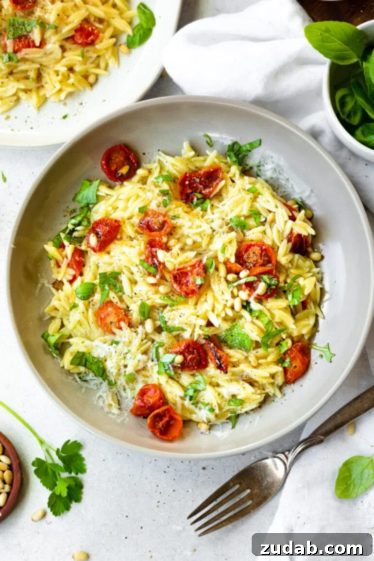 Mediterranean Roasted Garlic Tomato Basil Orzo 3 A photo taken over the top of a large white serving bowl full of orzo pasta, roasted tomatoes, garlic, and fresh basil.