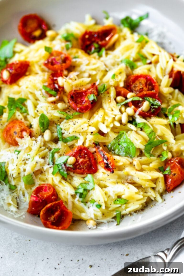 Mediterranean Roasted Garlic Tomato Basil Orzo 4 A photo of a large bowl full of roasted garlic orzo pasta with roasted cherry tomatoes, fresh basil, and toasted pine nuts.