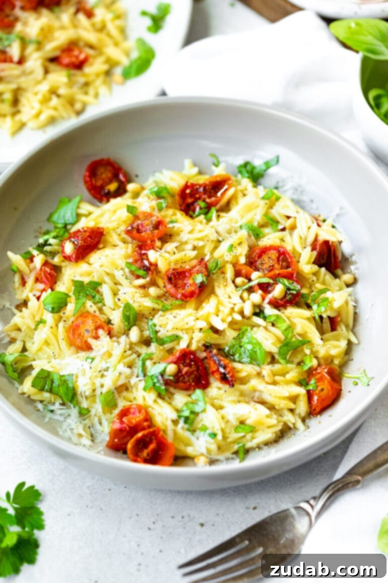 Mediterranean Roasted Garlic Tomato Basil Orzo 5 A photo of a large serving bowl full of creamy orzo pasta mixed with roasted cherry tomatoes, toasted pine nuts, fresh basil, and sprinkled Parmesan cheese.