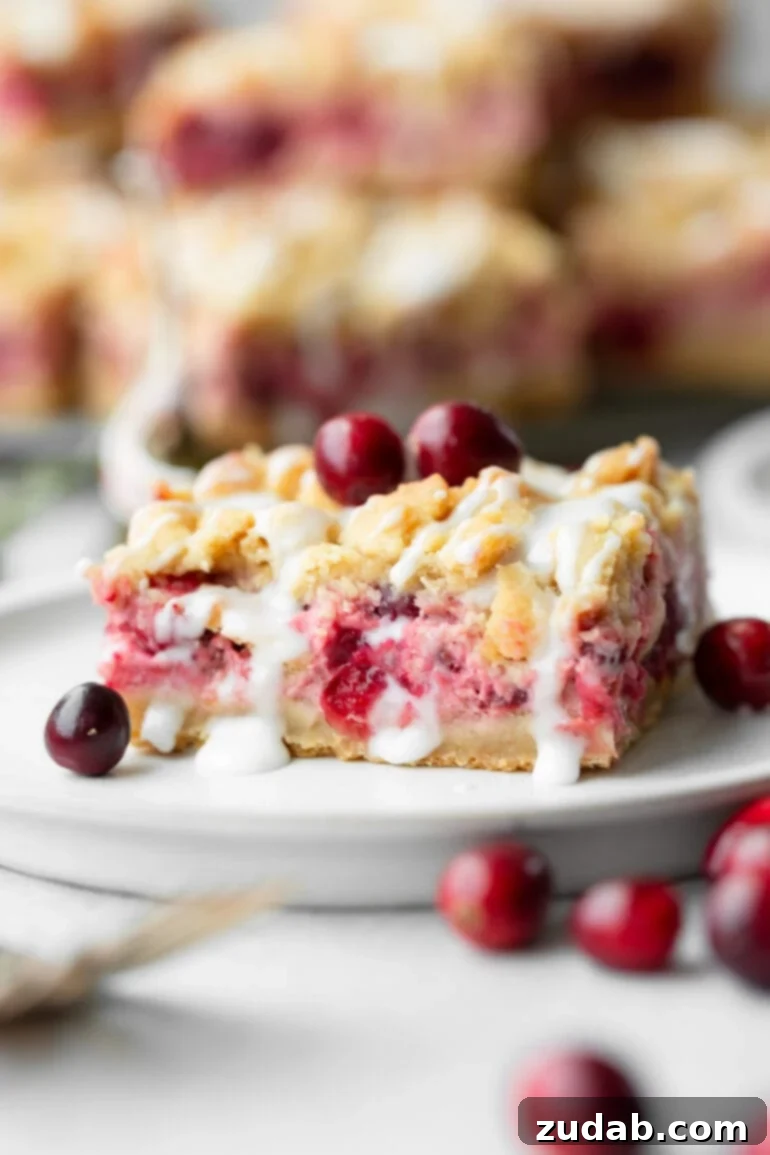 Buttery Cranberry Crumb Bars 2 a photo of a cranberry crumb bar sitting on a small dessert plate with whole cranberries scattered around it and on top of it