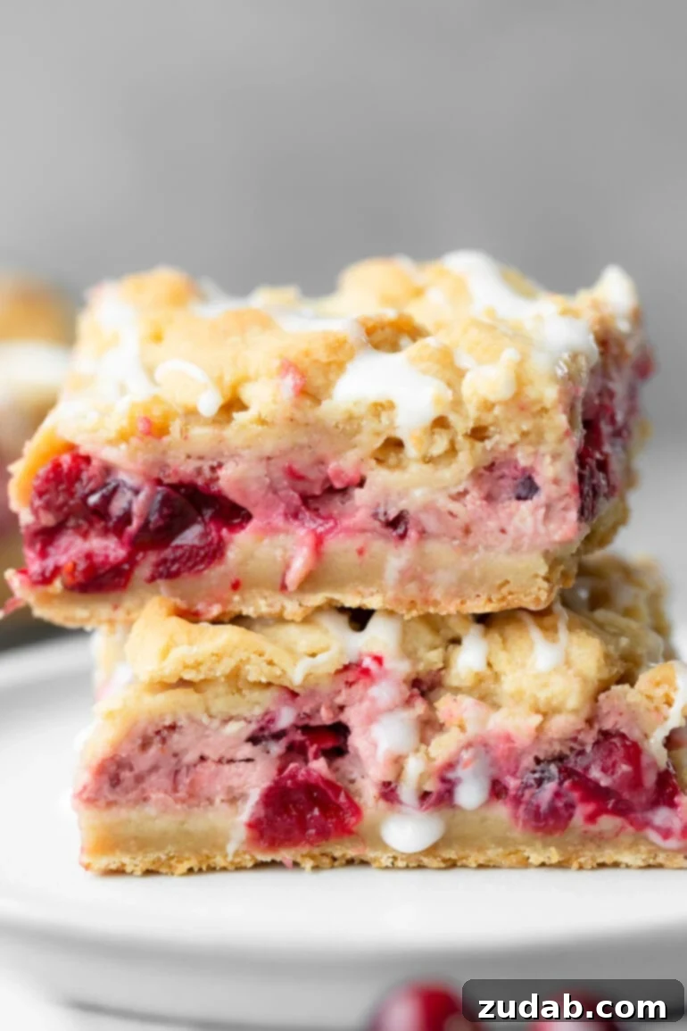 Buttery Cranberry Crumb Bars 4 a photo of two cranberry crumb bars stacked on each other on a small dessert plate