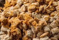 Double Peanut Butter Puppy Chow Recipe